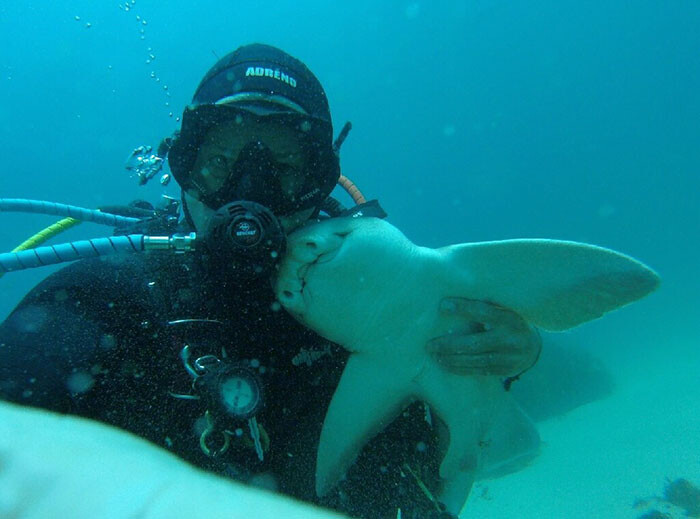 This Shark Comes Around To Cuddle With A мคn Whenever He Goes Diving 1