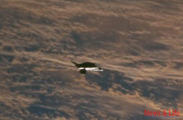 U̳F̳O̳ Sighting Photos leaked out of NASA-Johnson Space Center, 100% clear U̳F̳O̳s In High Detail. 8