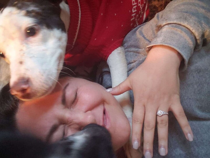 A dog rescued from a frozen lake finds the perfect forever home 2