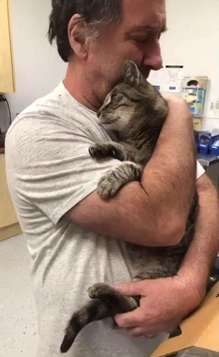 Miracle really happens: 19 year-old-cat get reunited with his father after missing for 7 years 2