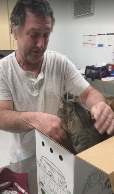 Miracle really happens: 19 year-old-cat get reunited with his father after missing for 7 years 4