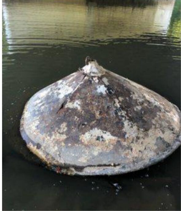 UFO sighting: Metal disk pulled from Delaware river is evidence extraterrestrials visited us, alien hunter claims 3