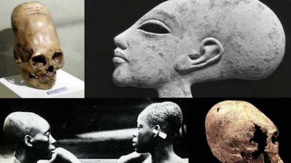 Ancient Alien Elongated Skulls Not Human, According To Scientists 2