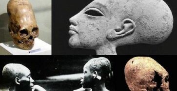 Ancient Aliens: Paracas skull DNA Test shows why story of humankind has to be rewritten 2